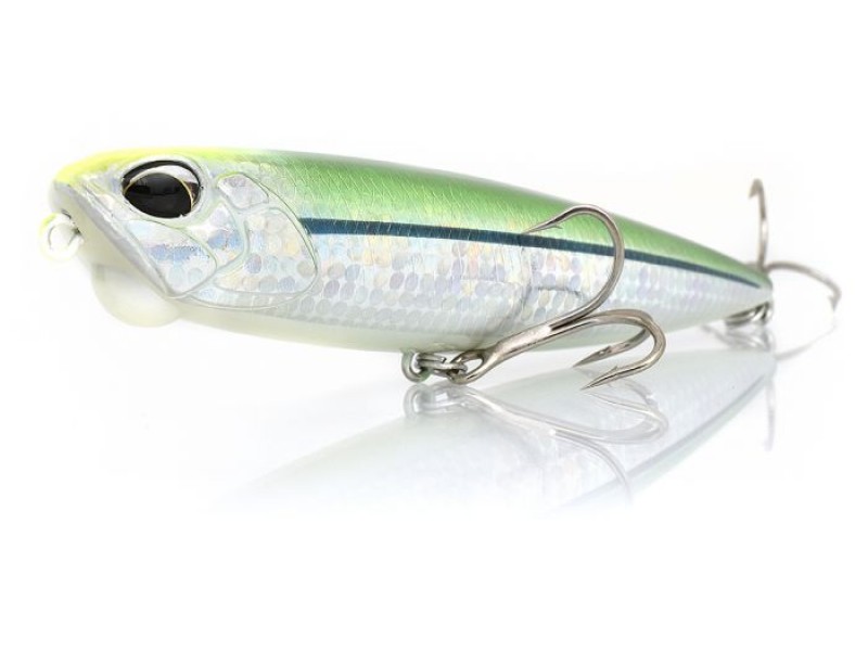 Leurre Duo Realis Pencil 110 FW