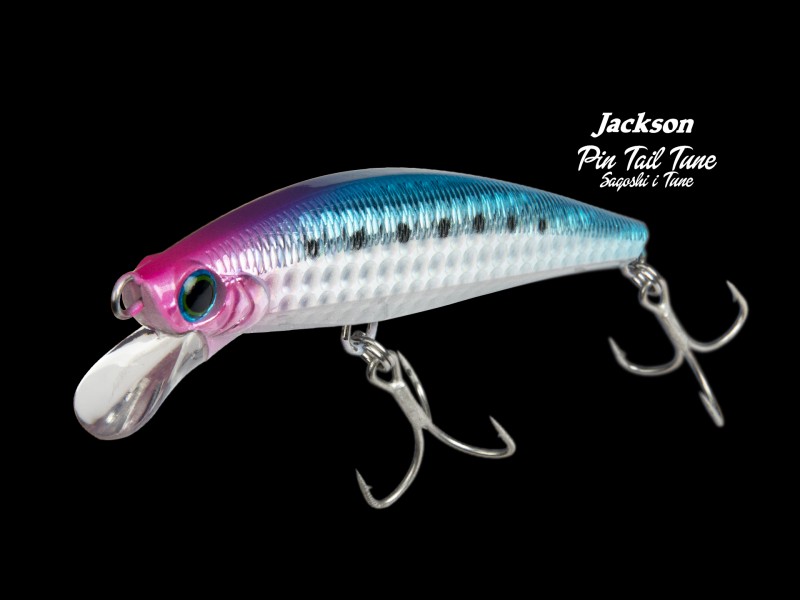 Leurre Jackson Pin Tail Sagoshi Tune 90mm