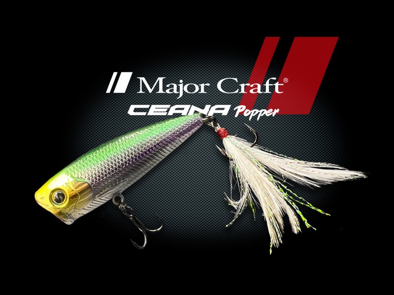 Leurre Major Craft Ceana Popper 70mm