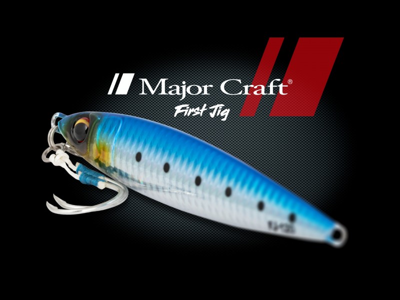 Jig Major Craft First Jig 200g