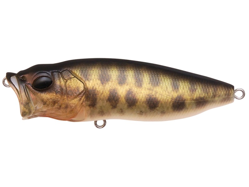 Leurre Megabass Pop Max