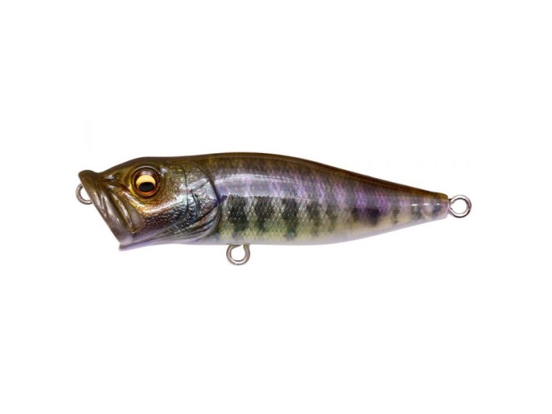 Leurre Megabass Pop X (Popper pour Lancer (spinning) - Megabass)