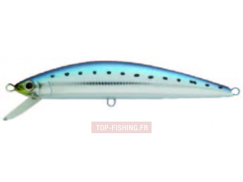 Leurre Jackson Pintail Tune 120mm 40g