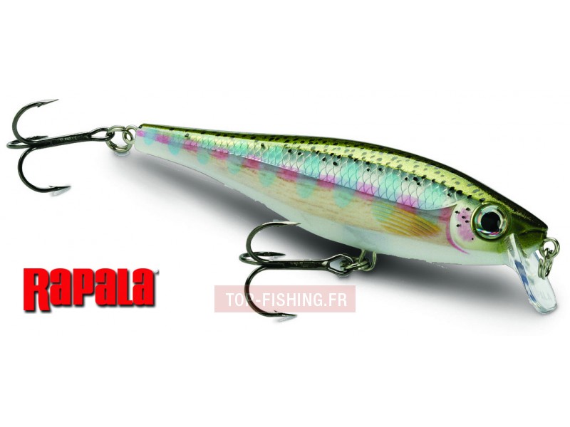 Leurre Rapala BX Minnow - 100mm