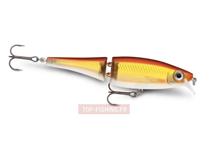 Leurre Rapala BX Swimmer 120mm