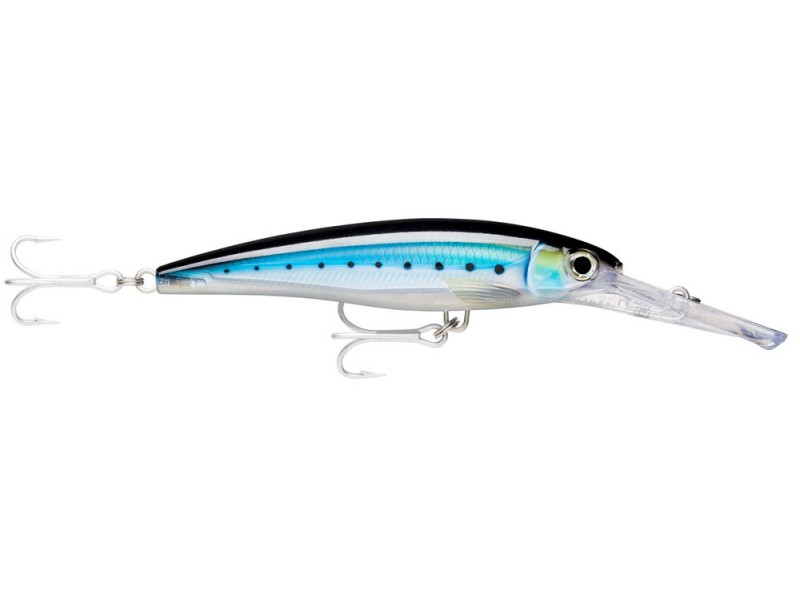 Leurre Rapala X-Rap Magnum 160mm