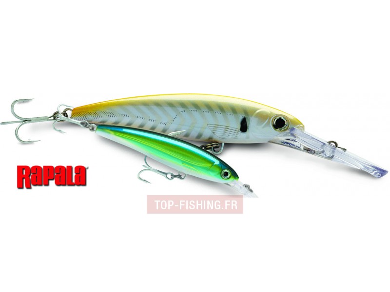 Leurre Rapala X-Rap Magnum 110mm