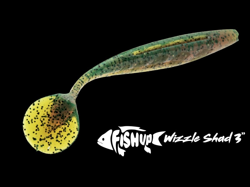 Leurre Souple Fishup Wizzle Shad 124mm