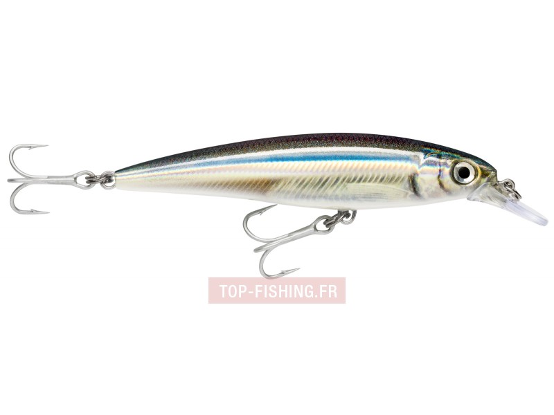 Leurre Rapala X-Rap Saltwater 120mm (Leurre Minnow pour Lancer (spinning) -  Rapala)