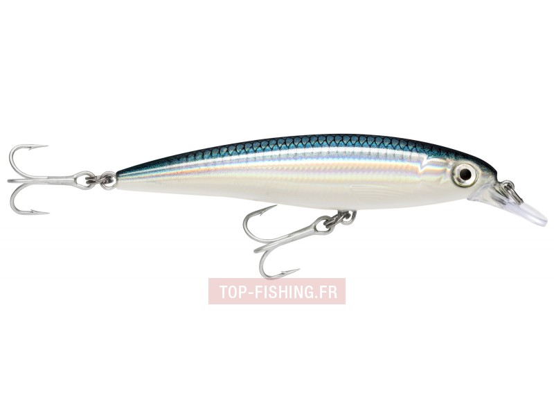 Leurre Rapala X-Rap Saltwater 120mm (Leurre Minnow pour Lancer