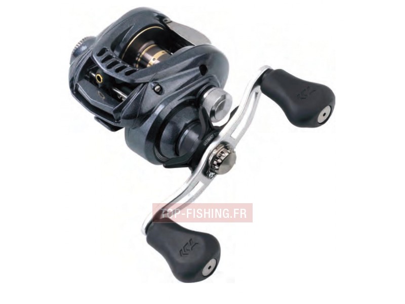 moulinet-daiwa-aird.jpg