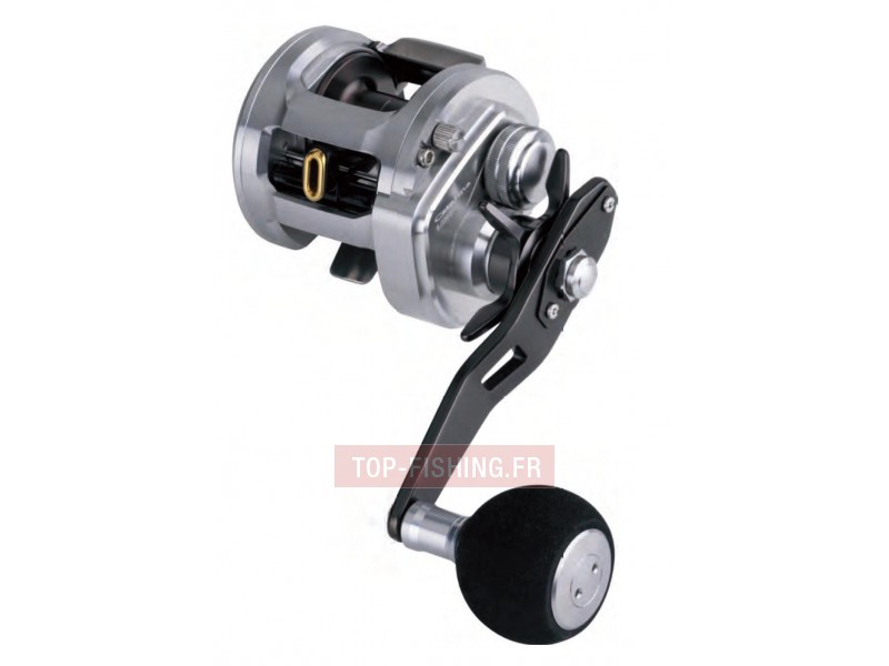 moulinet-daiwa-catalina-bay-jigging.jpg