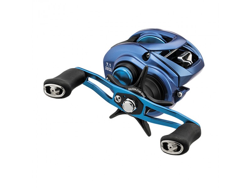 Moulinet Daiwa Coastal TWS 2019