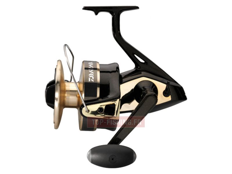 Moulinet Daiwa Gold Silver 100