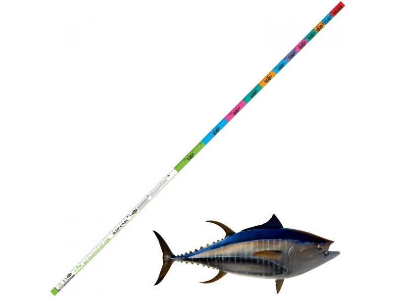 regle-de-mesure-bluefin-speciale-thon-rouge-2.jpg