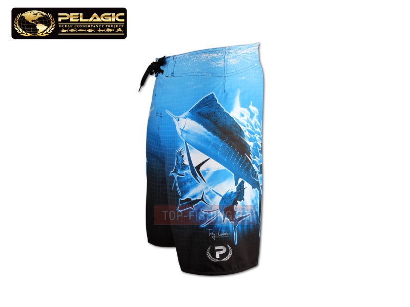 short-pelagic-ocp-ludo-sailfish.jpg