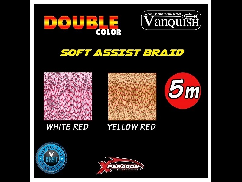 Tresse Assist Braid X-Paragon Double Color