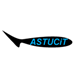 Logo de la marque Astucit - 