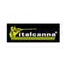 Logo de la marque Italcanna - Des cannes à pêche de prestige pour toutes les techniques.