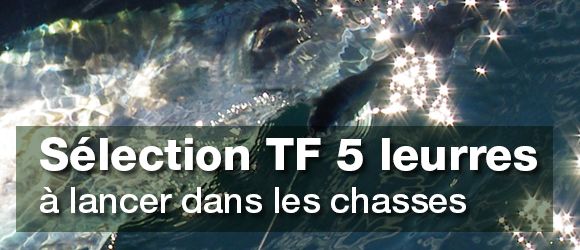 Sélection de Leurres à lancer pour la pêche au thon