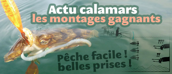 Montages pour la pêche de céphalopodes