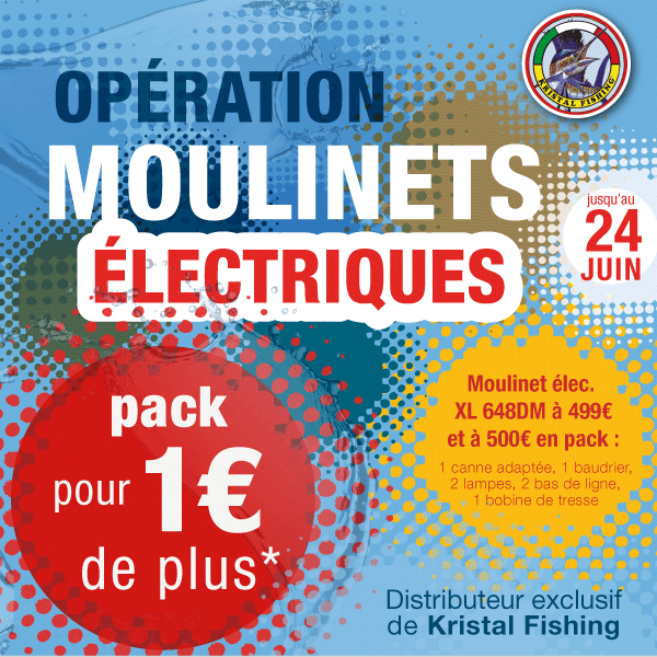 Opération Moulinet électrique 2014