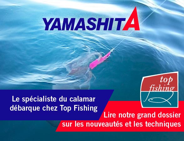 Dossier spécial Yamashita