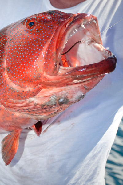 Photo de Nœud de pêcheur