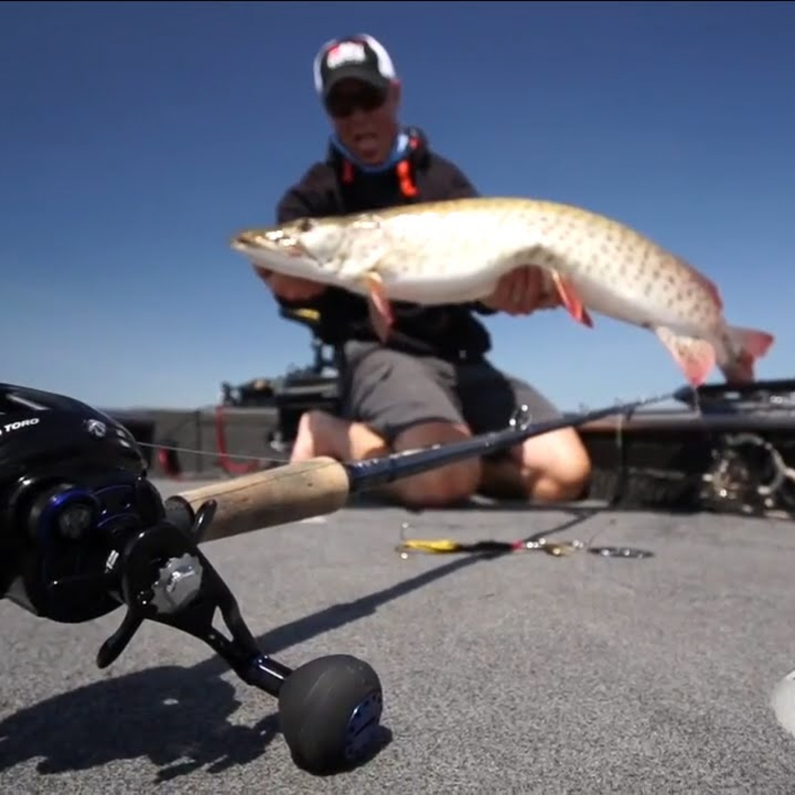 revo toro beast revo toro beast