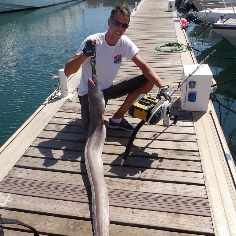 Ce congre de grands fonds pris par Fabien Harbers avec le moulinet XL 611 Kristal Fishing fait prés de 2 m. Il faut savoir que cette espèce peut atteindre 3 m pour prés de 110 kg ! Ce congre de grands fonds pris par Fabien Harbers avec le moulinet XL 611 Kristal Fishing fait prés de 2 m. Il faut savoir que cette espèce peut atteindre 3 m pour prés de 110 kg !