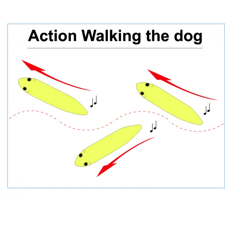 Animation d'un stickbait en Walking the Dog