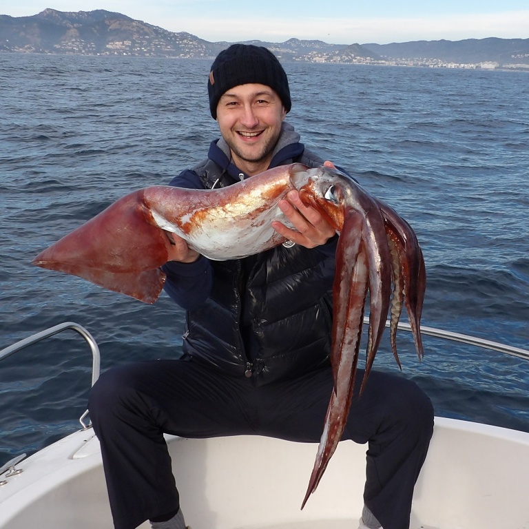 Ce calamar rouge de 7 kg pris par un des stagiaires du guide de pêche Fabien Harbers montre combien ces céphalopodes peuvent devenir gros ! 