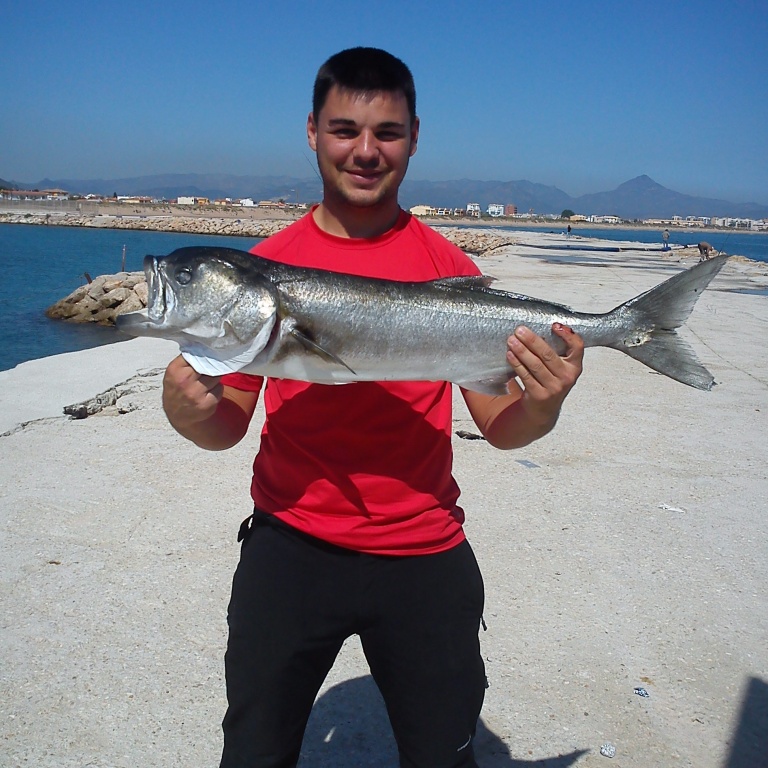 Superbe tassergal de 6 kg pris du bord au vif par Marc!