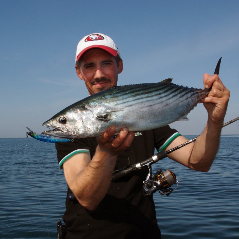 Belle pélamide prise avec un Crystal 3D Minnow Yo-Zuri ! Belle pélamide prise avec un Crystal 3D Minnow Yo-Zuri !