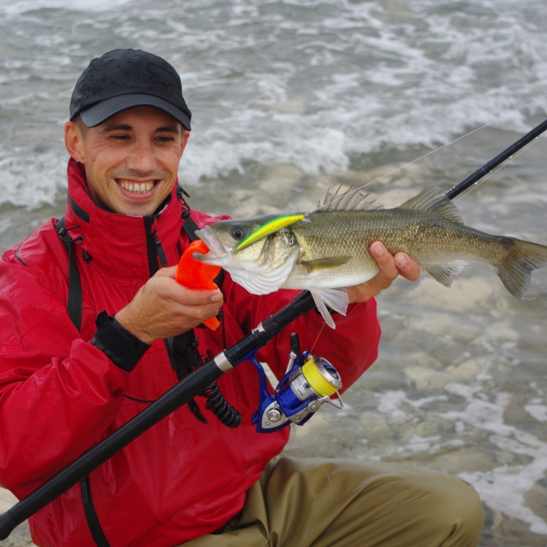 Le Seabass college est idéal pour les pateaux rocheux