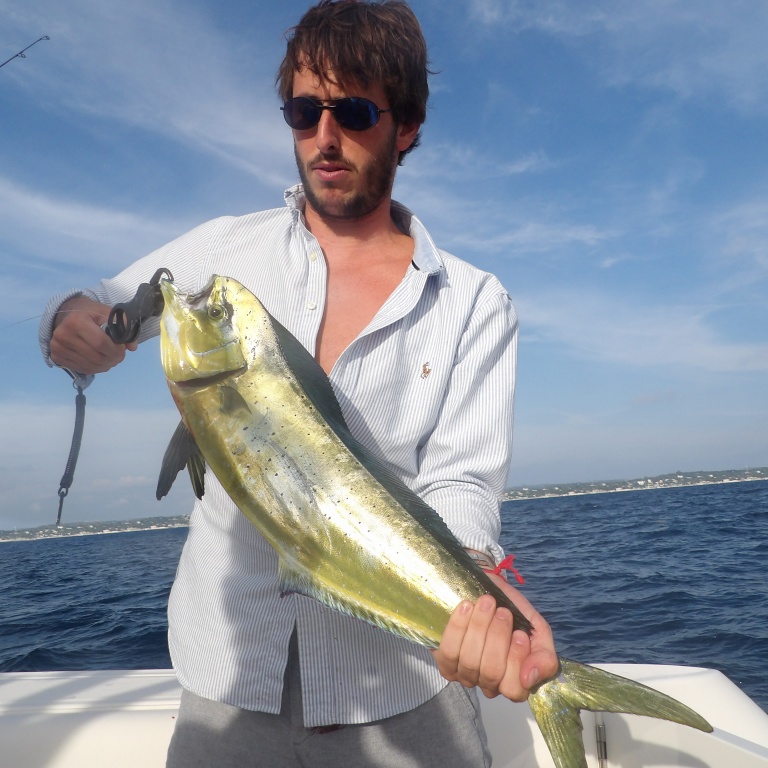 Coryphène prise au downrigger par un des stagiaires de Fabien Harbers