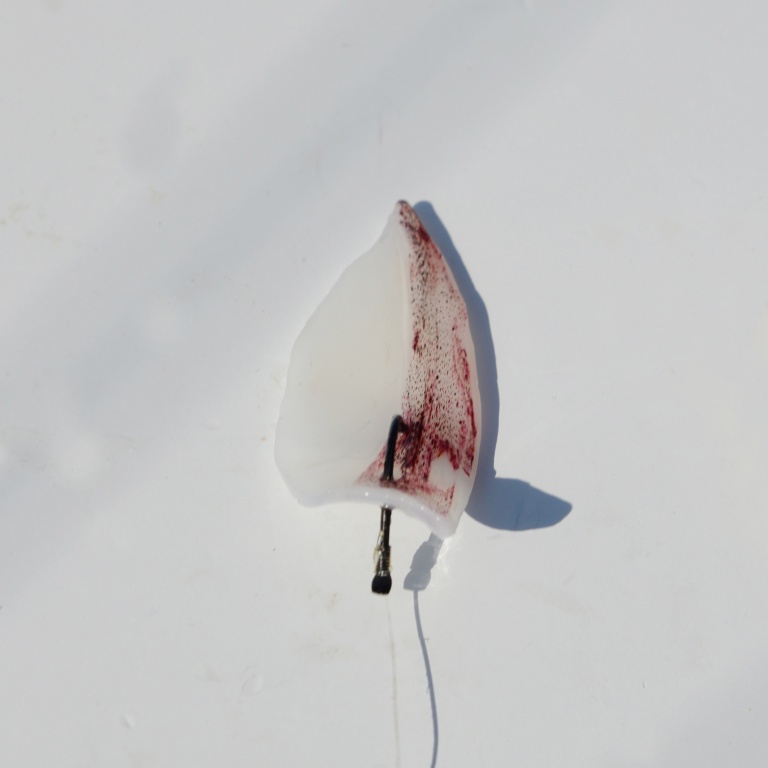 Le blanc de calamar est un super appât pour la pêche profonde !