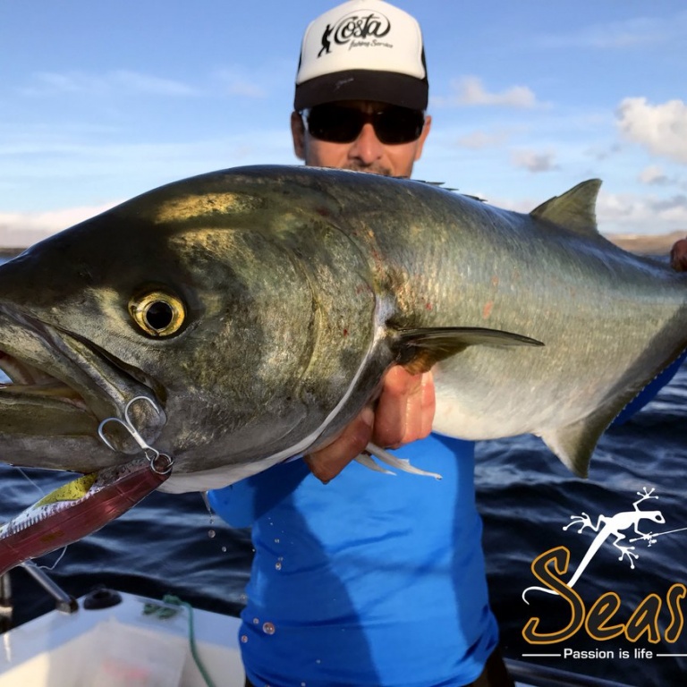 Épuisette Redfish Maxi 250 - Découverte Pêche du Carnassier pêche au  carnassier