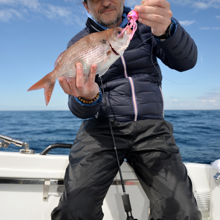 Encore une belle dorade rose pêchée au Kabura Explorer Tackle !