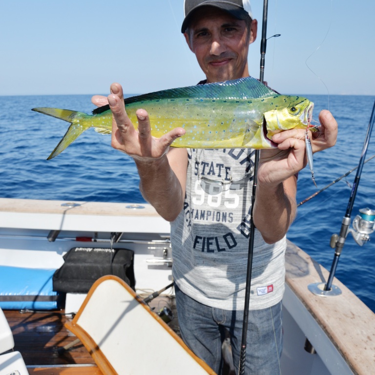 Coryphène prise au lancer au casting jig 