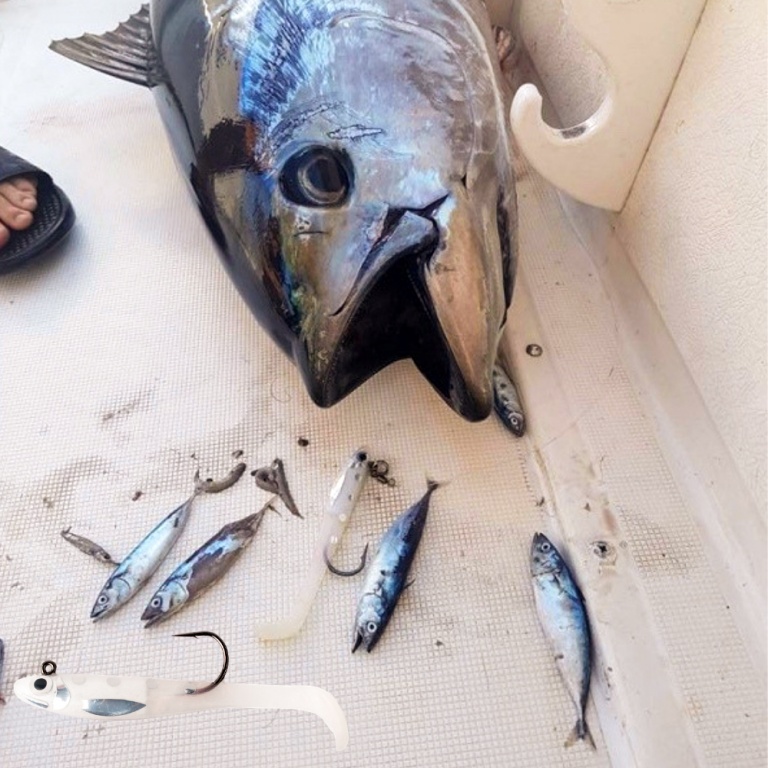Le Natural Sardine Bertox est l’imitation parfaite d’un petit poissonnet ! Le Natural Sardine Bertox est l’imitation parfaite d’un petit poissonnet !