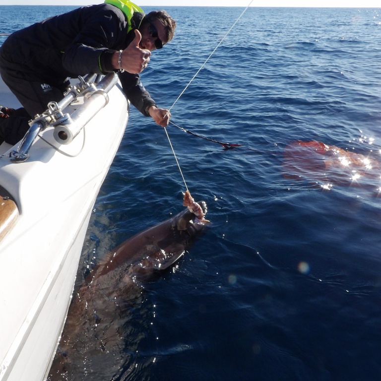 Fabien Harbers avec un griset de 3 m ! 