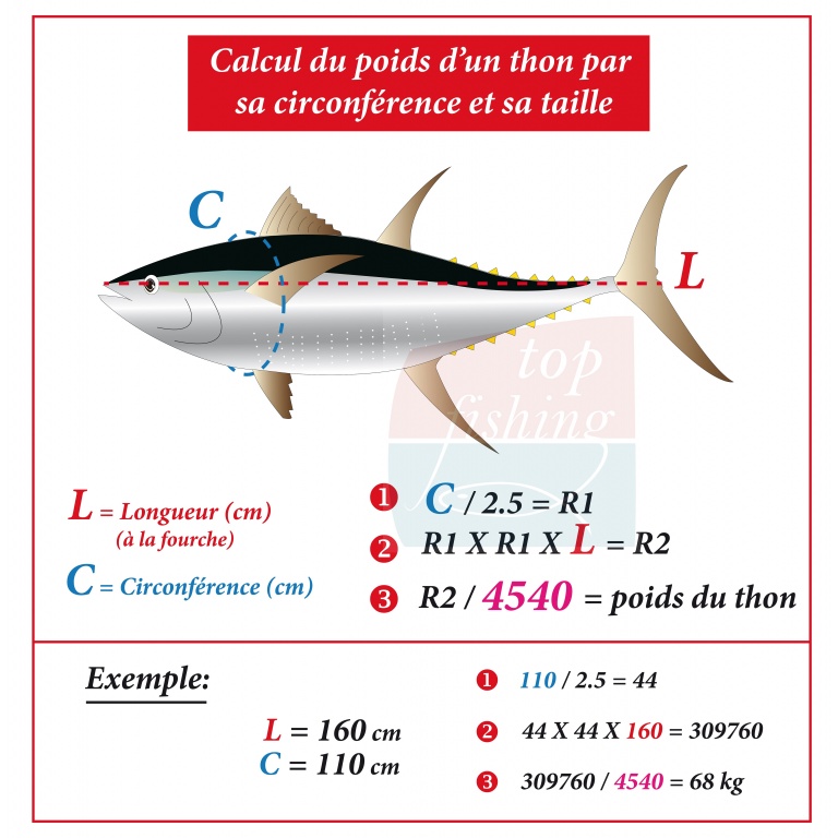 Cadeau Top Fishing à imprimer pour connaitre le poids de toutes vos prises – y compris celles en no-kill !  