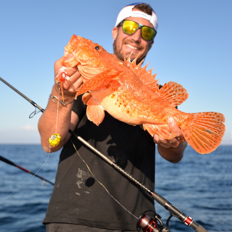 Magnifique chapon pris au kabura Bunri Kab Explorer Tackle boosté aux lanières de calamar