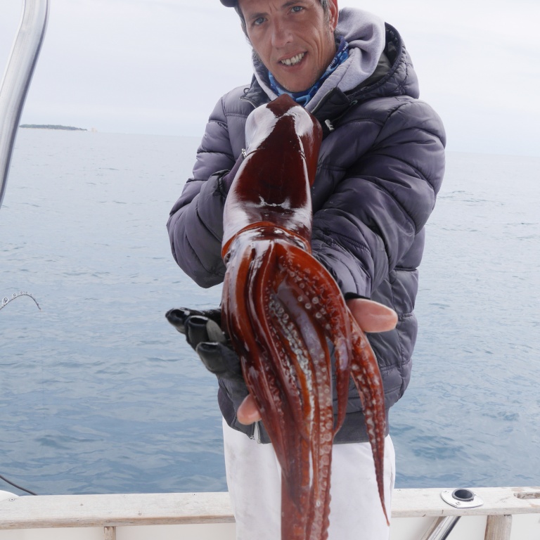 La canne In Shore C198 Top Fishing associée à un moulinet electrique permet de pêcher profondément les calamars rouges ! 