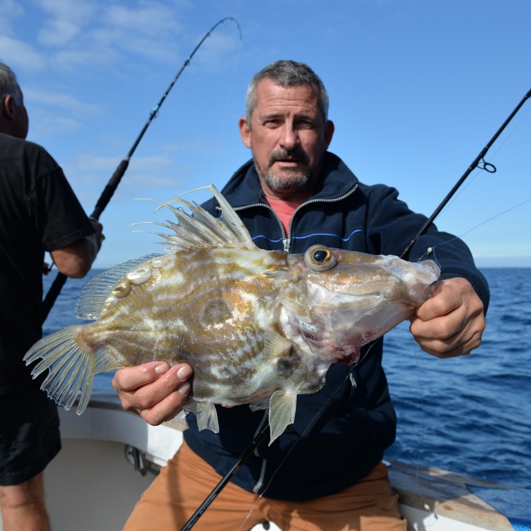 Beau Saint-Pierre pris à l’appât en pêche profonde