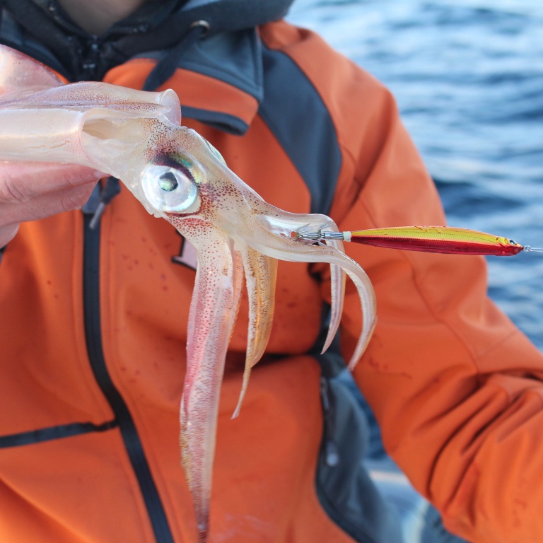 Peche de la dorade du bord