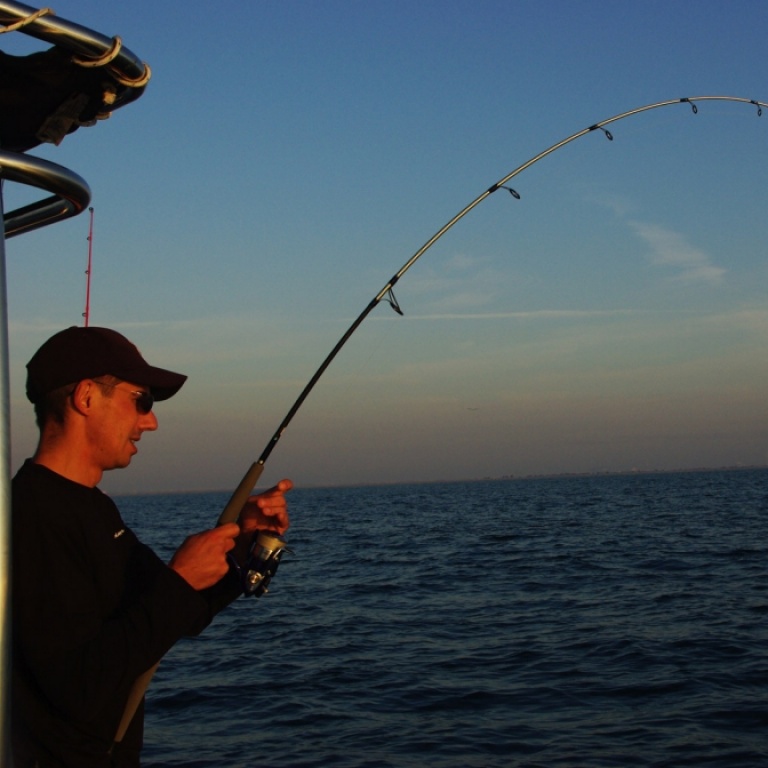 8 braid daiwa même en 12 centièmes elle supporte du lourd 8 braid daiwa même en 12 centièmes elle supporte du lourd