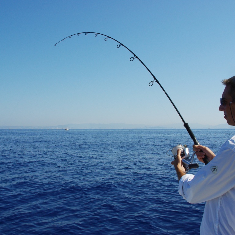 Il est rare de décrocher en utilisant un circle hook ! Il est rare de décrocher en utilisant un circle hook !