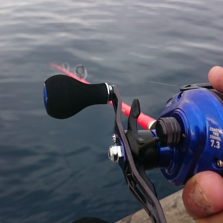 Pêche daurade au Casting avec une Tenryu Queen Tail Pêche daurade au Casting avec une Tenryu Queen Tail